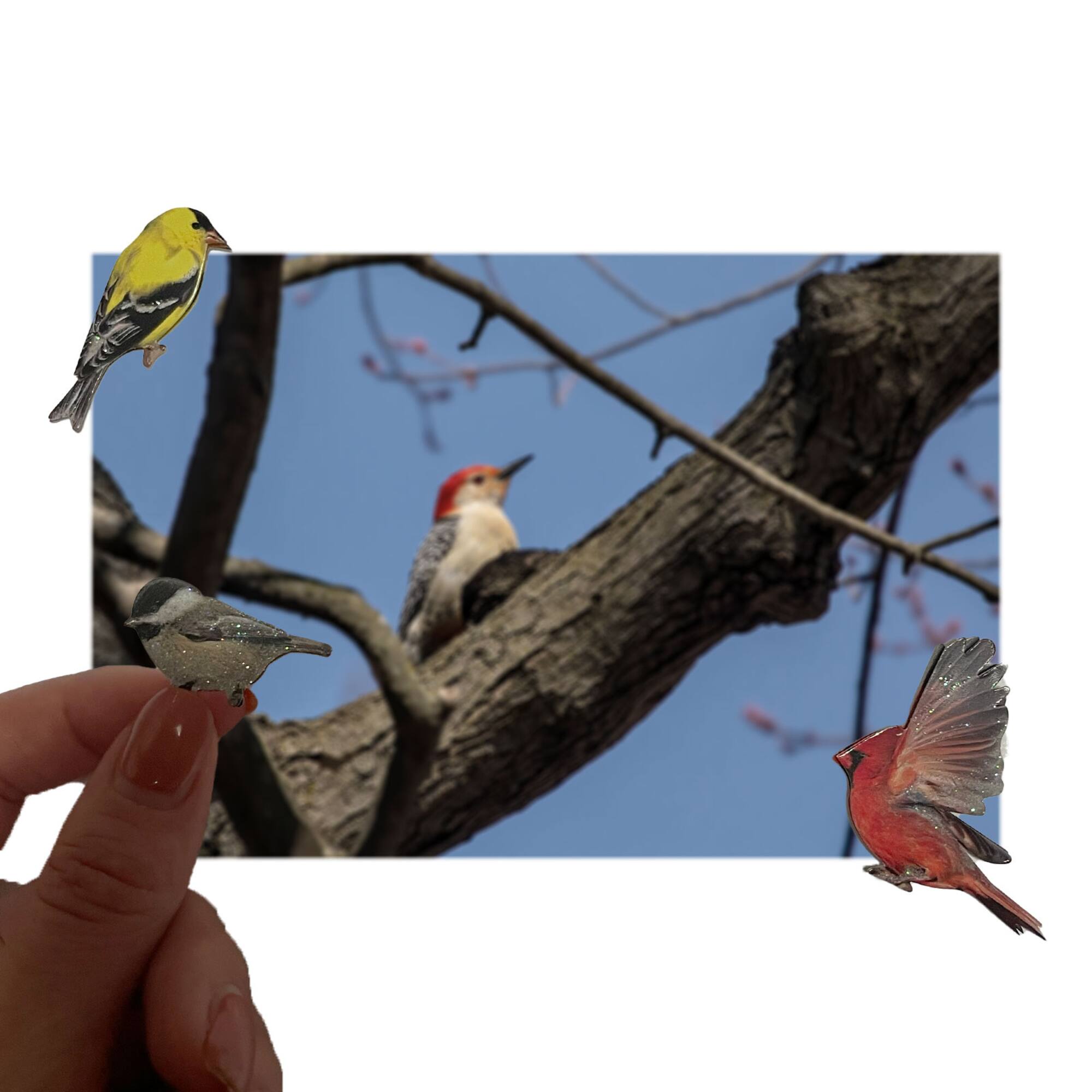 Bird Stickers by Recollections™
